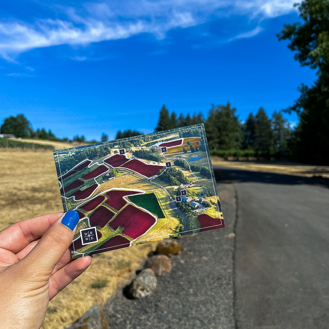 UnEarth Card in front of WillaKenzie Estate.